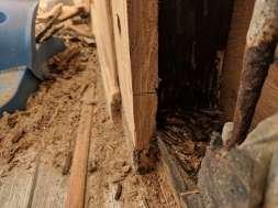 Deck housing wood to be replaced