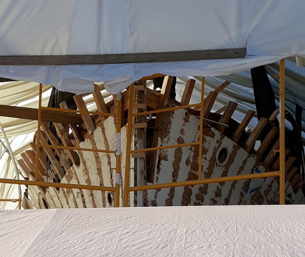 Trumpy BB in the shed drying