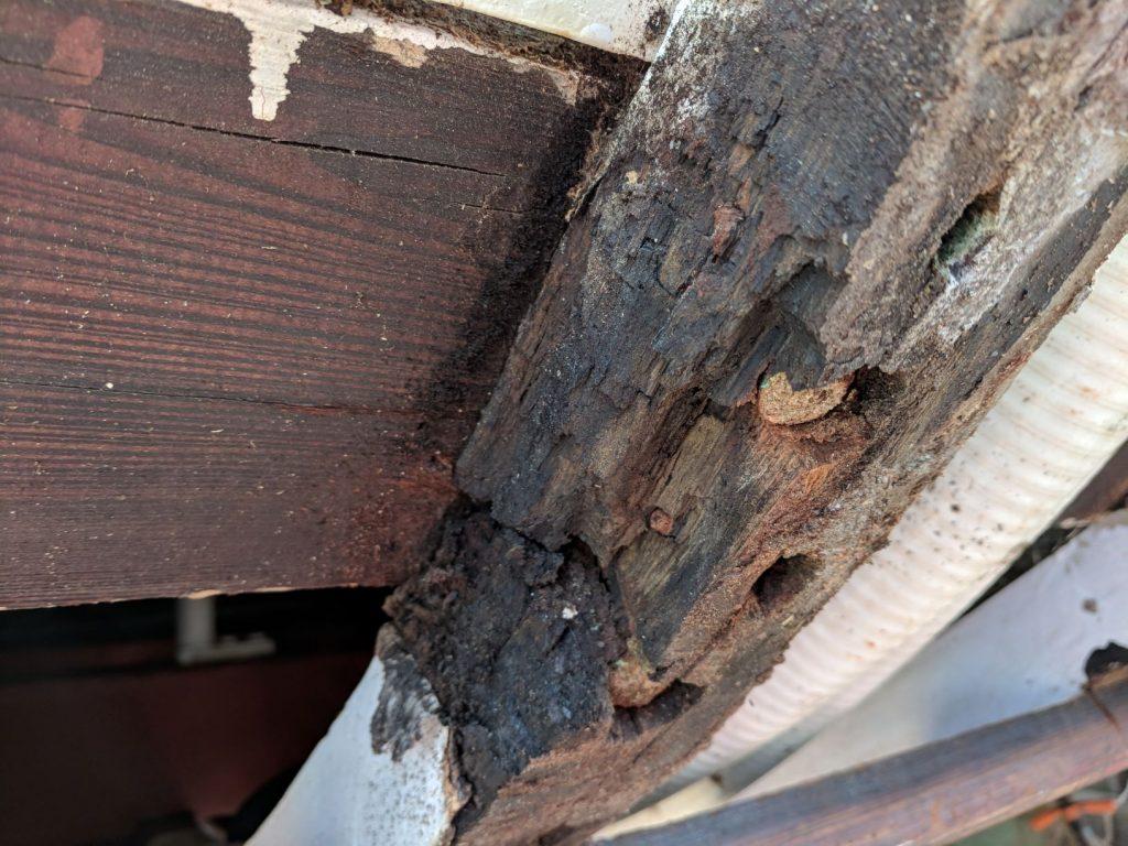 Restoration of 1947 Trumpy Motor Yacht BB